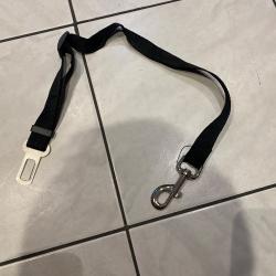 Laisse chien .. ceinture de sécurité