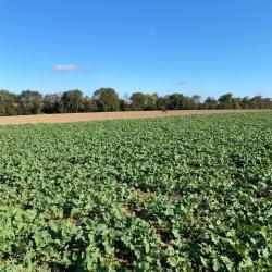 Recherche 2 actionnaires gros gibiers secteur Nemours (sud 77)