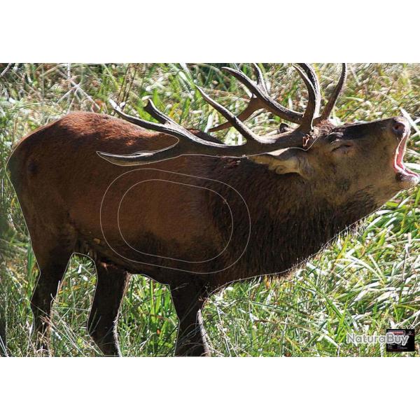 Blason Maximal grand gibier Howling deer