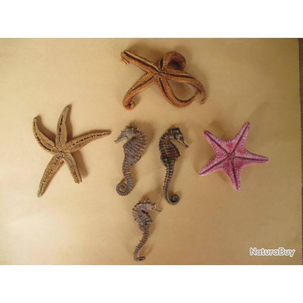 Collection de la Mer -Lot de 3 "HIPPOCAMPES" et 3 "ETOILES de MER" .Schs