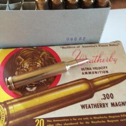 Munitions 300 weatherby Magnum 110 Grain