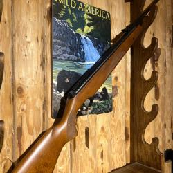 ENCHERES 1 - DIANA MOD. 350 MAGNUM 30 JOULES