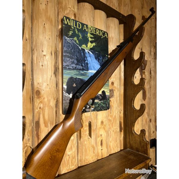 ENCHERES 1 - DIANA MOD. 350 MAGNUM 30 JOULES