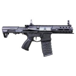 ARP 556 V2S G&G