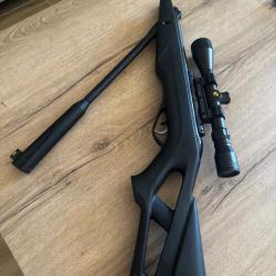 Gamo 19'9 à lunettes