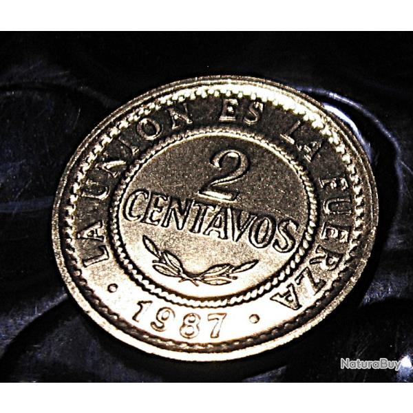 Bolivie piece de 2 centavos  1987  superbe