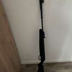 Carabine à plomb Stoeger X10 - Calibre 4.5 mm (.177)