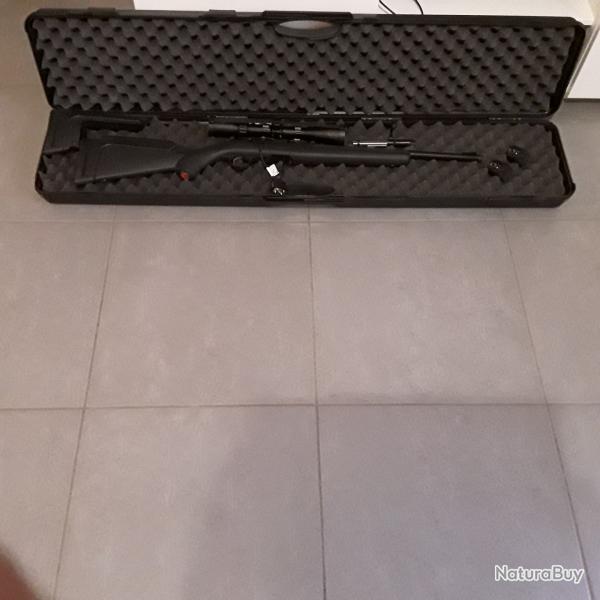 Carabine RUGER Americain Rimfire 22LR
