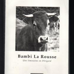 bambi la rousse une limousine en périgord d'isabelle mazeaud