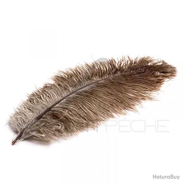 Plume d'autruche naturelle DEVAUX