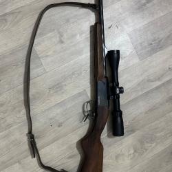 Carabine Remington 243