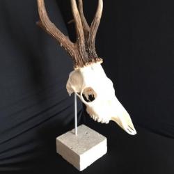 Support « Piédestal » en pierre pour Chevreuil Chamois N°12