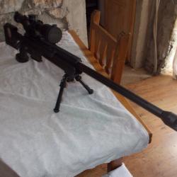 carabine de TLD