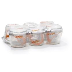 TERRINE LPS 500 GR D100 X6 - LE PARFAIT