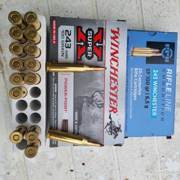 Lot de balles 243 winchester