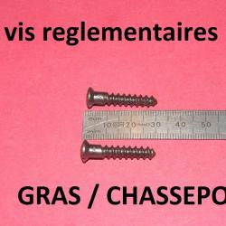 lot de 2 vis de fusil règlementaire GRAS CHASSEPOT - VENDU PAR JEPERCUTE (D25D327)