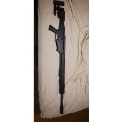 Carabine ruger precision rimfire 338lp