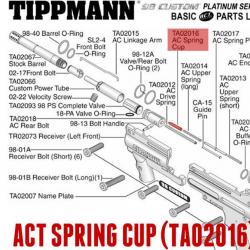 ACT spring cup-11693