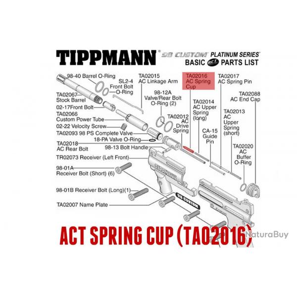 ACT spring cup-11693