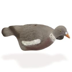 APPELANT PIGEON COQUILLE - 