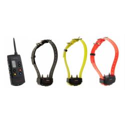 PACK CANICOM 1500 - 3 CHIENS - NUM'AXES EDUCATION