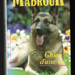 berger allemand , mabrouk chien d'une vie  . Jean-Pierre Hutin sursis