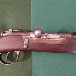 Fusil Steyr Kropachek 1886