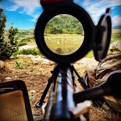 Kahles K525i Msr2