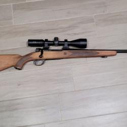 Carabine 270win