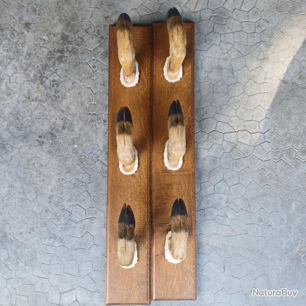 Rtelier 3 fusils