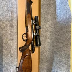Steyr mannlicher 308 win