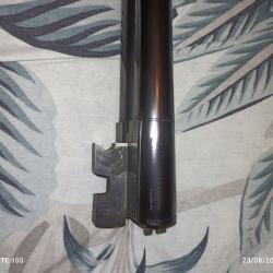 Robust 22 cal 12 avec 2 paires de canons