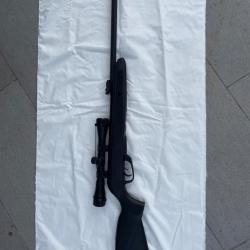 carabine et pistolet GAMO