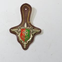 Insigne Groupe d'Exploitation des Oléoducs 2e Division. DELSART H789, OTAN, 2 pontets