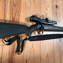 Blaser r93 avec lunettes Swarovski battue et approche