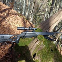 Carabine SAUER 404 crosse FBT calibre 7×64