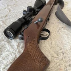 Carabine 22 LR Savage Stevens 300 Bois