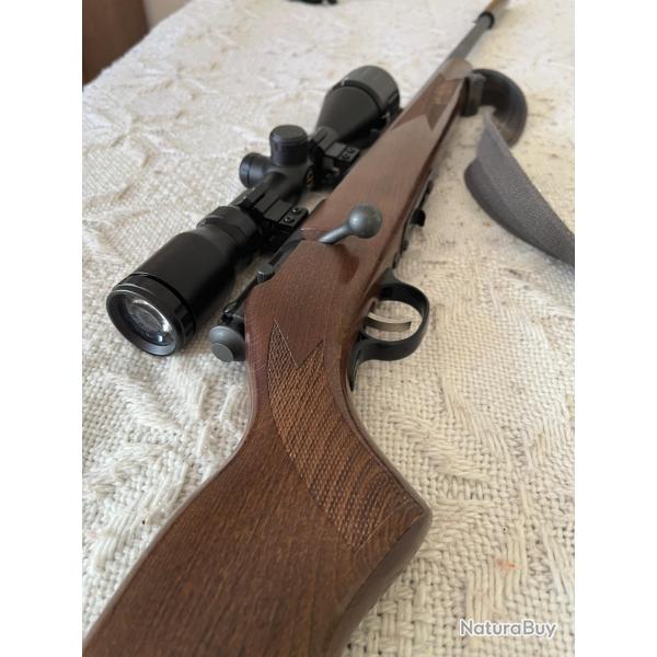 Carabine 22 LR Savage Stevens 300 Bois