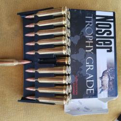 Nosler Trophy Grade Partition 243 win 85gr