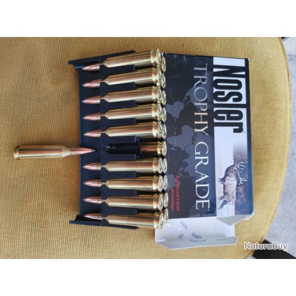 Nosler Trophy Grade Partition 243 win 85gr