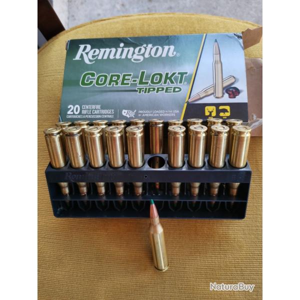 Remington core lokt tipped 243win 95gr