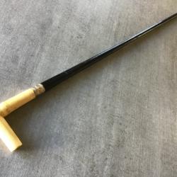 Canne fusil DUMONTHIER