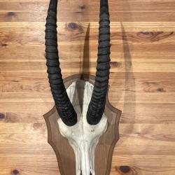 Massacre de KOBA - Burkina Faso