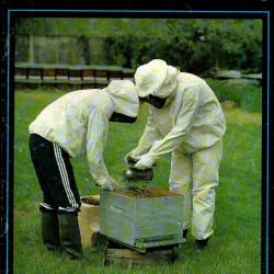 abeilles et fleurs lot de 9 revues 1990