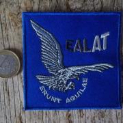 écusson Dassault mirage 2000 escadron de chasse 2/5 Île-de-France - Insignes en tissu - Patchs (13904095