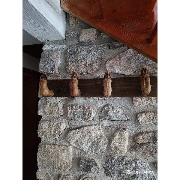 Porte manteau trophe de chasse
