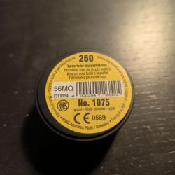 Boîte de 250 amorces cannelées poudre noire RWS - N°1075