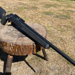 SPRINGFIELD 2020 22lr
