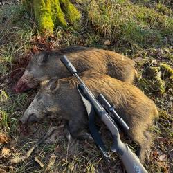 Chasse à la journée. EXTRA SANGLIER