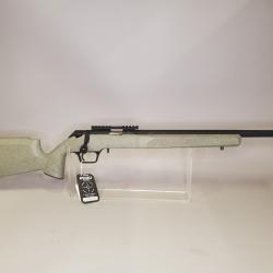 carabine 22lr springfield 2020 rimfire